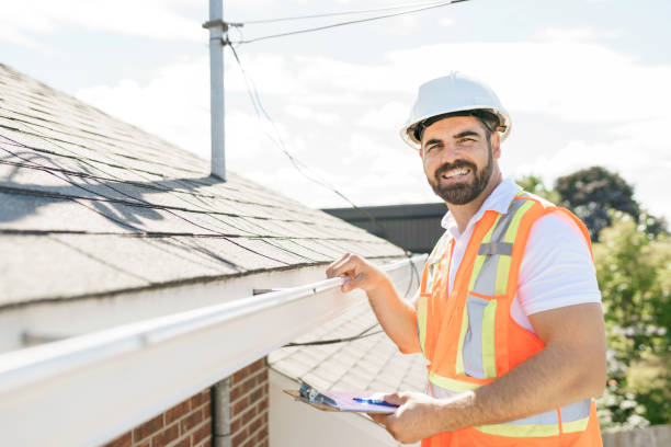 Roof Gutter Cleaning in Hampshire, IL
