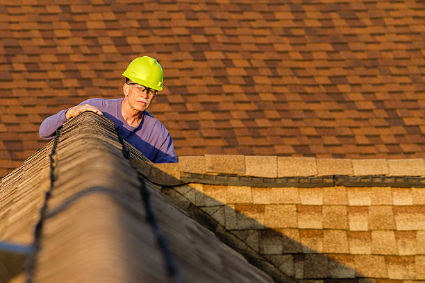 Best Residential Roofing Contractor  in Hampshire, IL