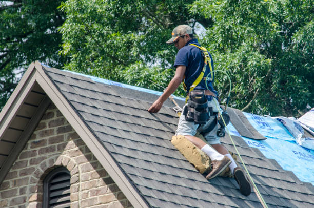 Quick and Trustworthy Emergency Roof Repair Services in Hampshire, IL